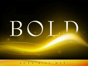 bold_t1