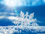 Snowflake-Pictures