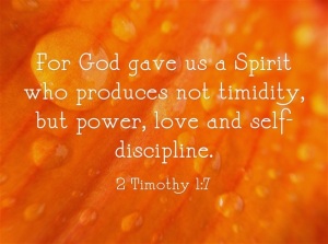 2-Timothy-1-7